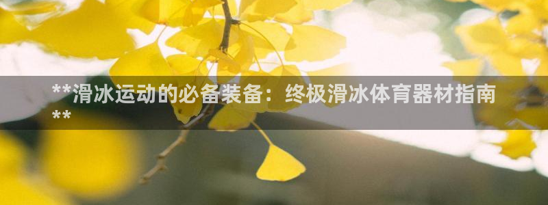极悦娱乐的最新版本更新内容在哪：**滑冰运动的必备装