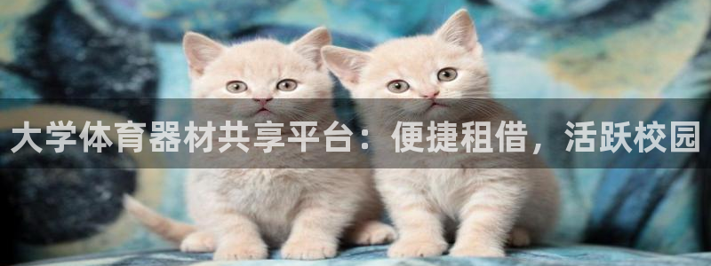 极悦平台登录入口注册不了：大学体育器材共享平台：便捷
