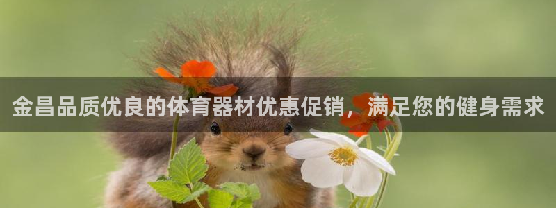 极悦平台注册申请流程详解图片：金昌品质优良的体育器材