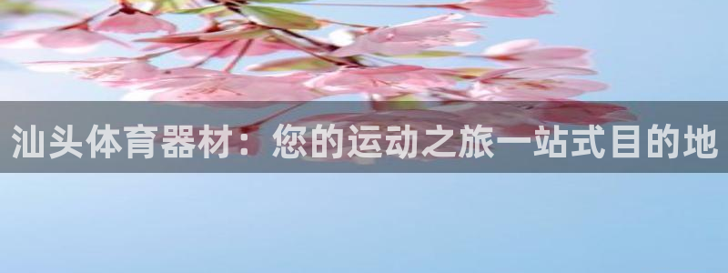 极悦平台是干嘛的软件：汕头体育器材：您的运动之旅一站