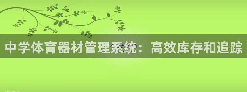 极悦生活家是什么平台：中学体育器材管理系统：高效库存
