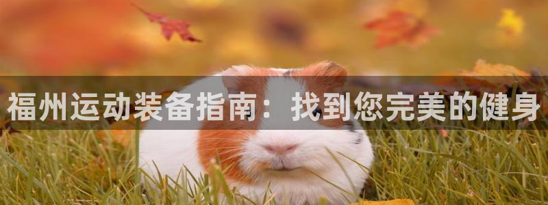 极悦平台用户评价与反馈：福州运动装备指南：找到您完美