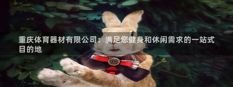 极悦平台用户反馈和反馈：重庆体育器材有限公司：满足您