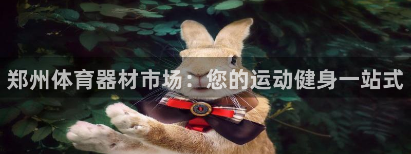 极悦平台官网登录入口网址是什么：郑州体育器材市场：您