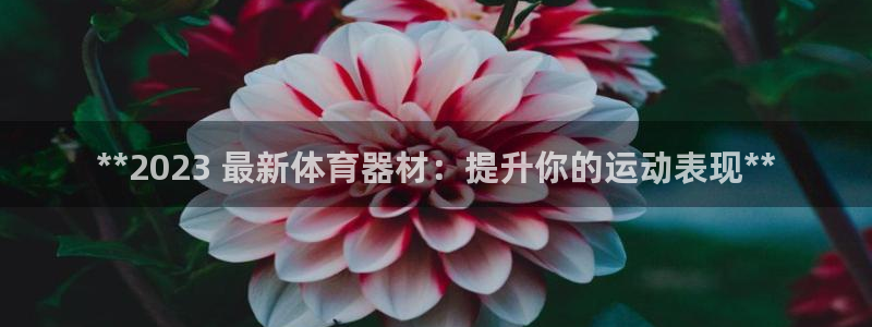 极悦娱乐代理人是谁：**2023 最新体育器材：提升