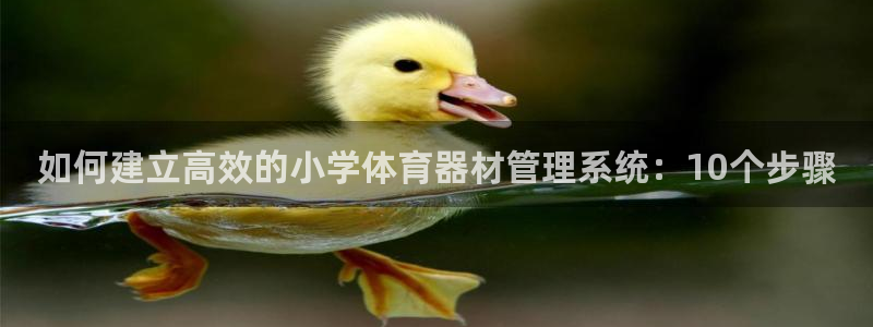 极悦平台注册用户名格式是什么：如何建立高效的小学体育