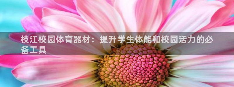 极悦娱乐游戏安全吗：枝江校园体育器材：提升学生体能和