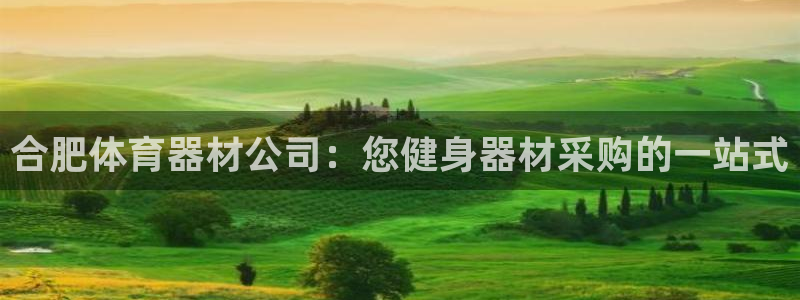 极悦平台安全吗是真的吗：合肥体育器材公司：您健身器材