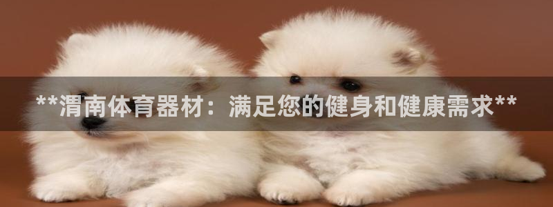 极悦平台用户评价与反馈在哪里：**渭南体育器材：满足