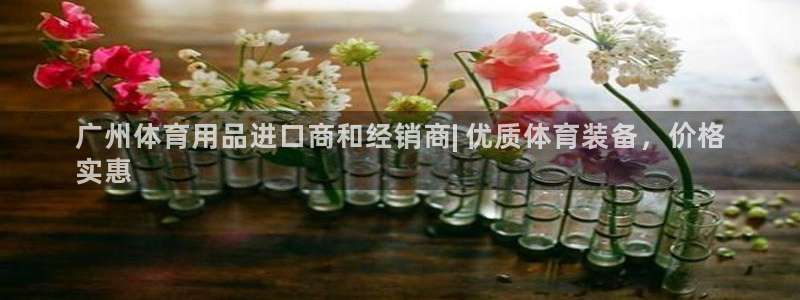 极悦娱乐官方网站下载：广州体育用品进口商和经销商| 