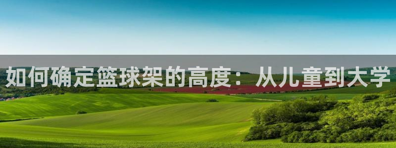 极悦官网注册最新版本更新内容：如何确定篮球架的高度：