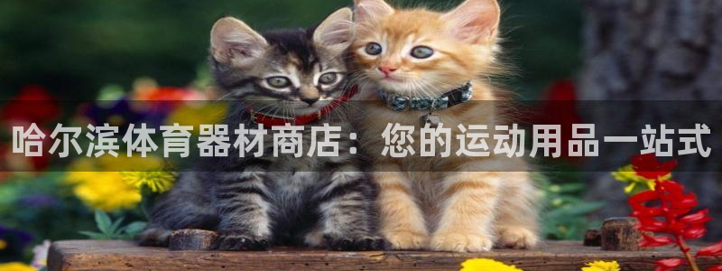 极悦娱乐负责人：哈尔滨体育器材商店：您的运动用品一站
