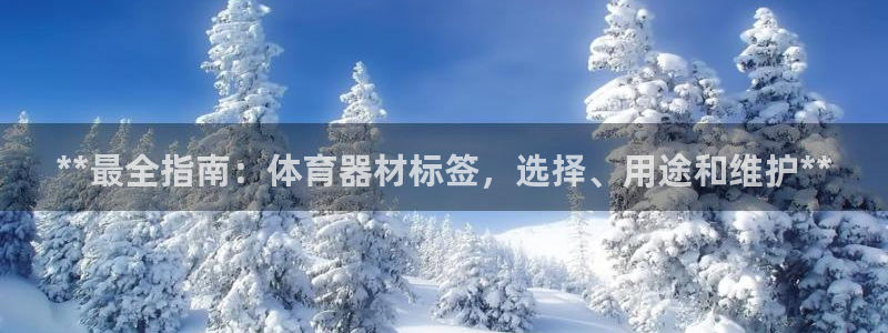 极悦平台登录方式是什么：**最全指南：体育器材标签，