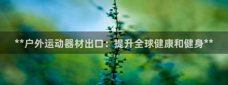 极悦平台注册失败如何解决呢：**户外运动器材出口：提