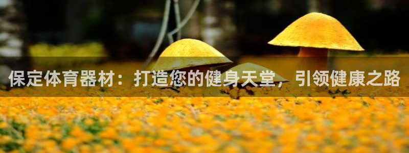 极悦平台官方网站入口下载：保定体育器材：打造您的健身