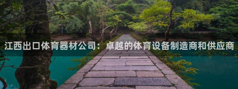 极悦平台用户评价与反馈：江西出口体育器材公司：卓越的
