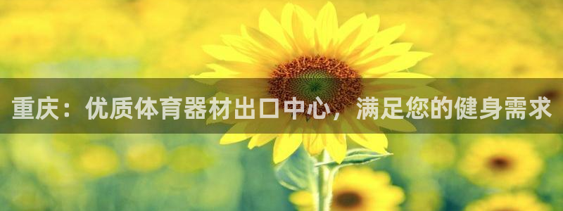 苏州极悦信息科技有限公司：重庆：优质体育器材出口中心