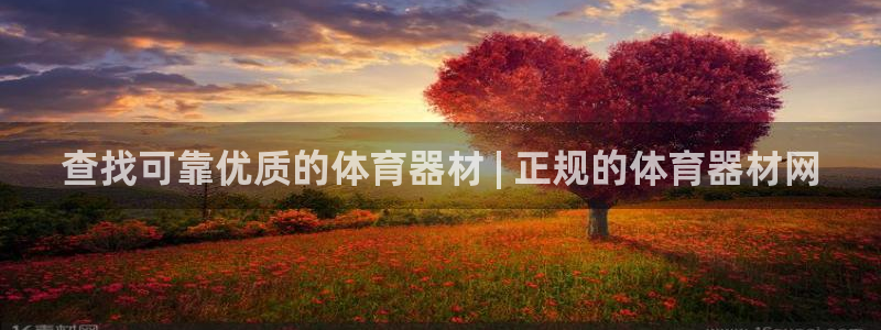 极悦平台客服的联系方式：查找可靠优质的体育器材 | 