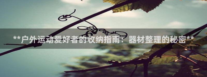 极悦平台官方网站首页：**户外运动爱好者的收纳指南：