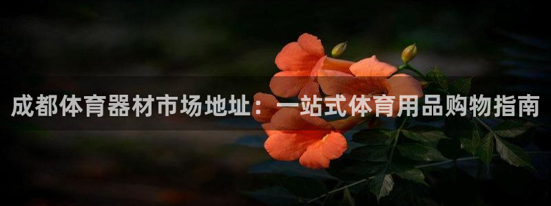 极悦娱乐分7O777：成都体育器材市场地址：一站式体