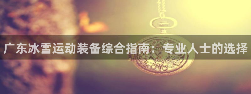 极悦平台登录最新版本更新内容在哪：广东冰雪运动装备综