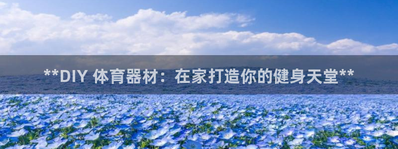 极悦娱乐德711.112扣费说明：**DIY 体育器