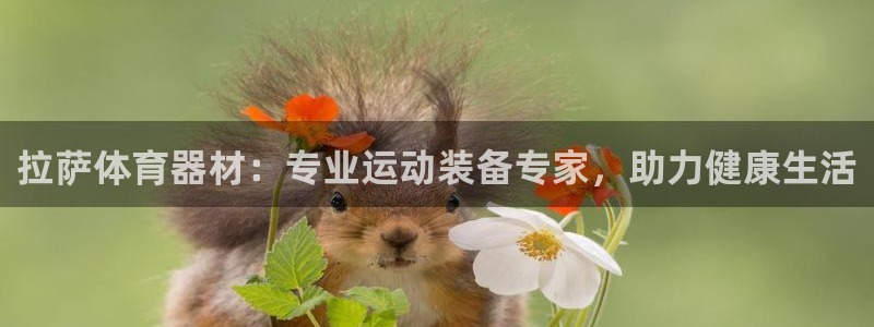 极悦牙膏好吗：拉萨体育器材：专业运动装备专家，助力健