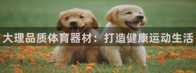 极悦平台官网入口下载：大理品质体育器材：打造健康运动