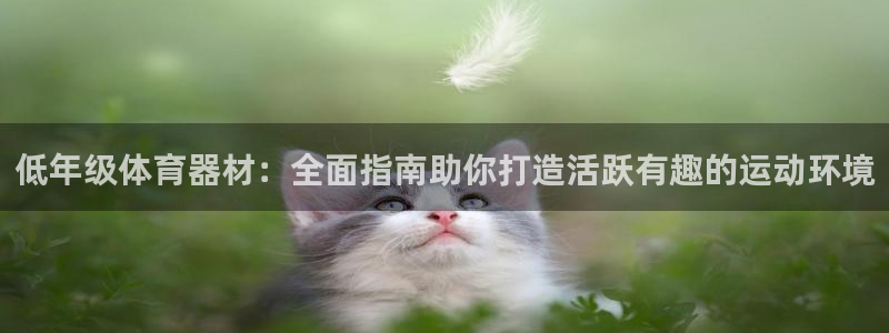 极悦娱乐下载安装手机版：低年级体育器材：全面指南助你