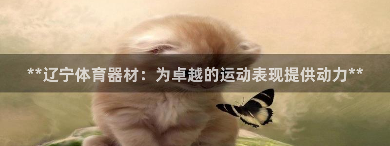 极悦平台注册官网入口：**辽宁体育器材：为卓越的运动