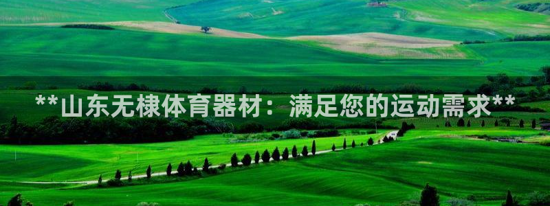 极悦官网：**山东无棣体育器材：满足您的运动需求**