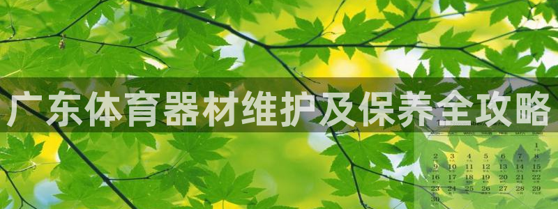 极悦平台代理怎么做的：广东体育器材维护及保养全攻略