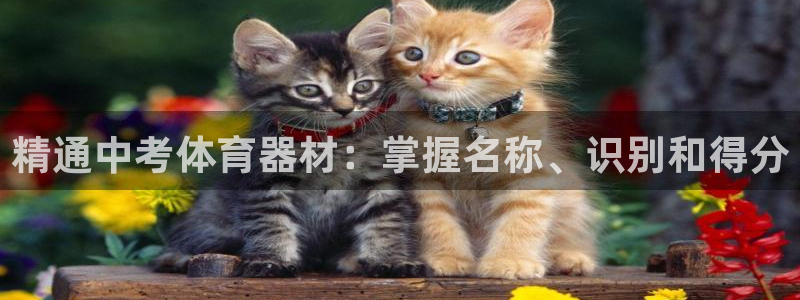 极悦娱乐创始人背景故事简介：精通中考体育器材：掌握名