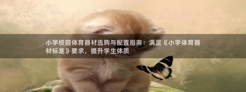 极悦娱乐部7O777：小学校园体育器材选购与配置指南