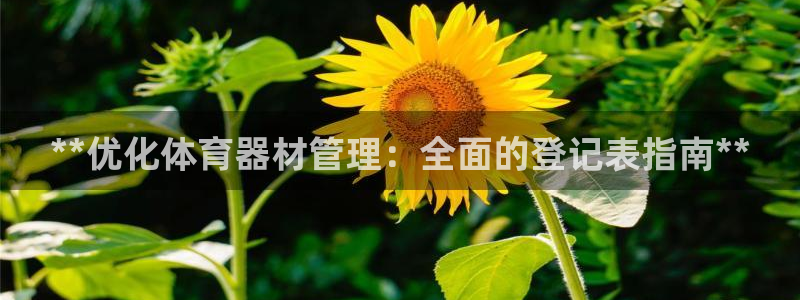 极悦娱乐的内部员工福利：**优化体育器材管理：全面的