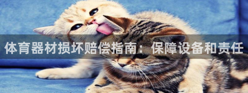 极悦平台使用教程视频：体育器材损坏赔偿指南：保障设备