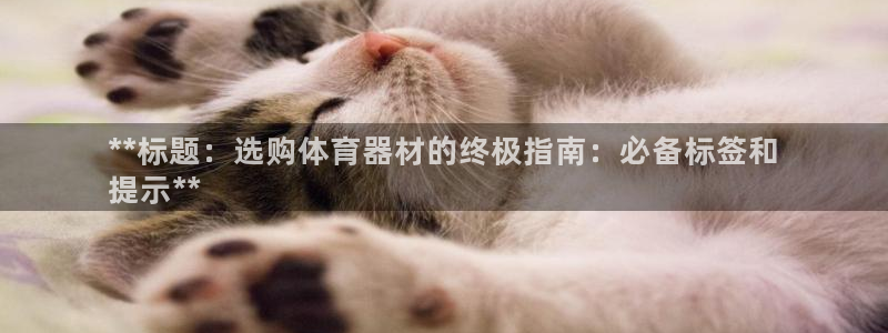 加盟极悦教育怎么样：**标题：选购体育器材的终极指南