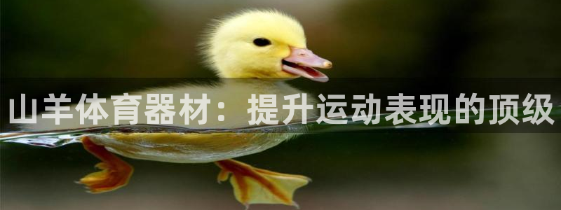 极悦娱乐官网入口网址：山羊体育器材：提升运动表现的顶
