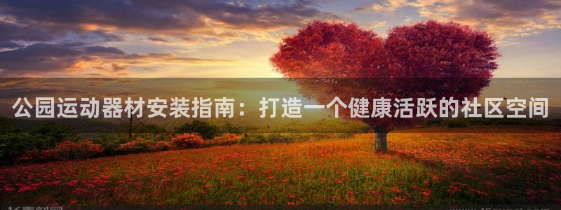 极悦娱乐创始人背景故事：公园运动器材安装指南：打造一