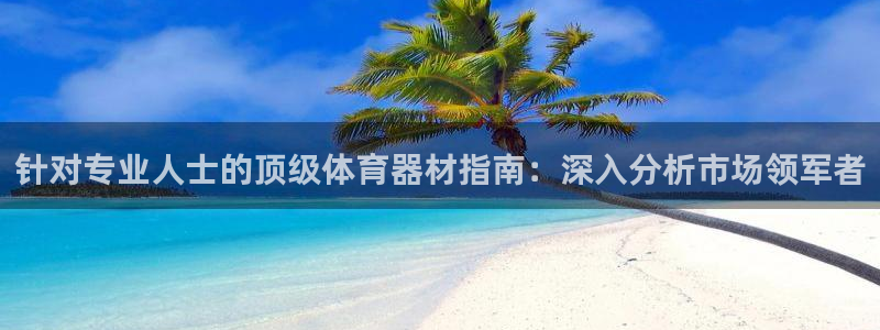 极悦平台股东是谁：针对专业人士的顶级体育器材指南：深