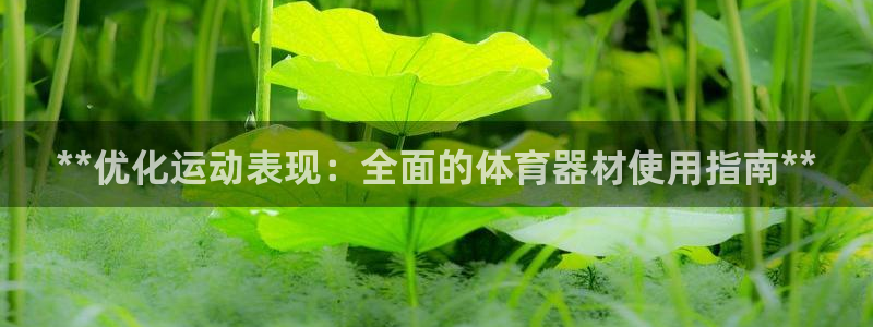 极悦平台注册官方网站下载安装苹果：**优化运动表现：