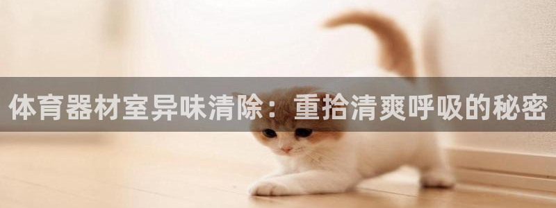极悦娱乐公司最新招聘信息官网：体育器材室异味清除：重