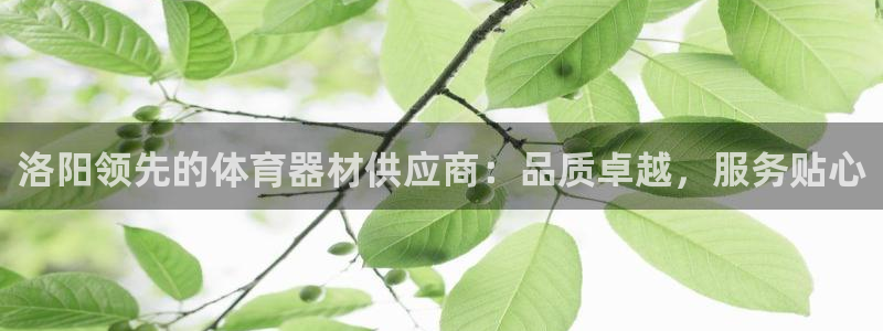 极悦平台创始人背景故事视频：洛阳领先的体育器材供应商