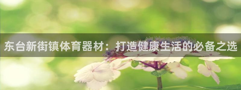 极悦官方网站入口网址：东台新街镇体育器材：打造健康生