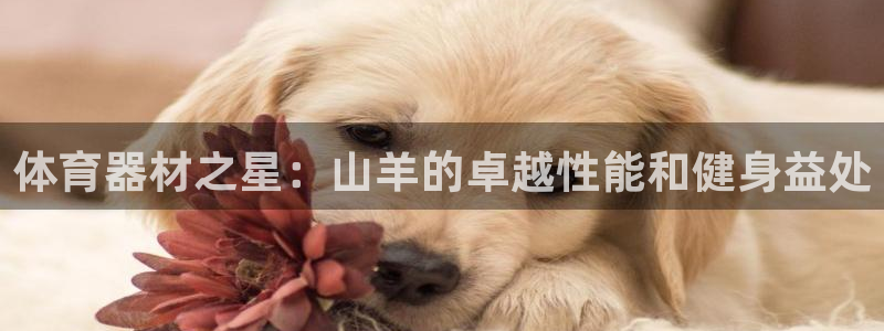 极悦官网首页登录入口：体育器材之星：山羊的卓越性能和