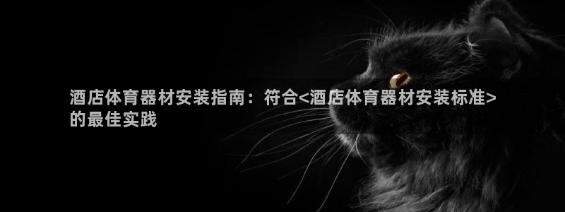 极悦平台官网登录网址：酒店体育器材安装指南：符合<酒