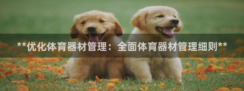 极悦娱乐创始人背景故事介绍：**优化体育器材管理：全