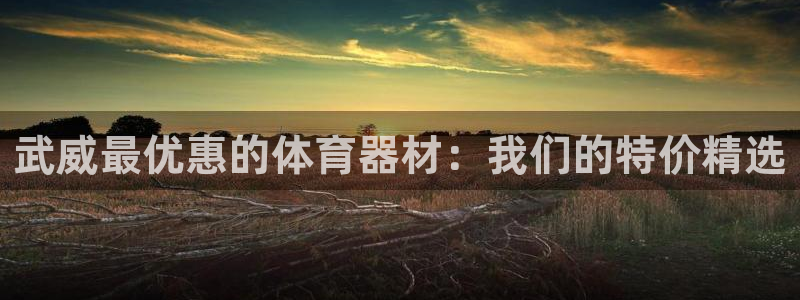 极悦平台注册流程：武威最优惠的体育器材：我们的特价精