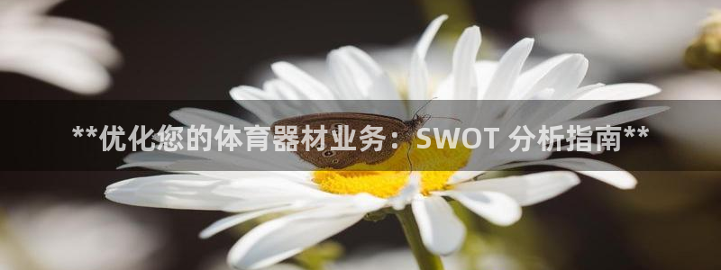 极悦平台注册失败如何解决方法：**优化您的体育器材业