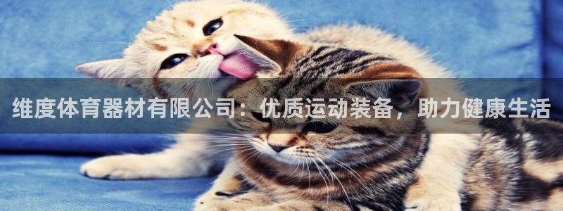 极悦平台平台注册方法与步骤：维度体育器材有限公司：优